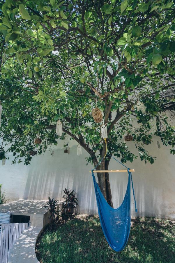 Villaboha เมริดา ภายนอก รูปภาพ